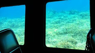 側面に窓があり観察しやすく酔いにくい。