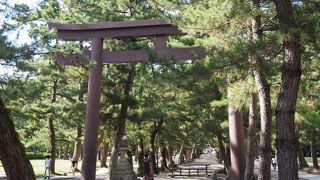 有名なしめ縄は奥