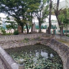 半円の池が残る