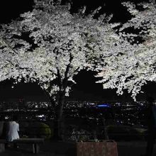 けっこう寒い。