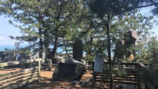 海風に立ち向かう神社