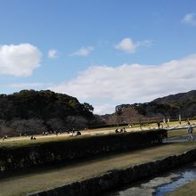 緑が広がる気持ちのいいところです。休日は家族連れで賑わいます