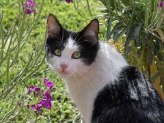 Hotel Oberland 写真