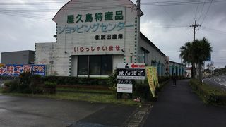 大きなショッピングセンター武田の先のレストランで飛魚のフライを食べた