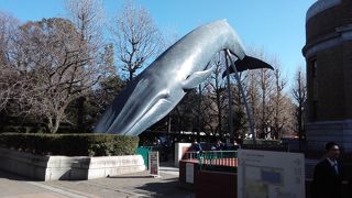 自然史への興味が深まる