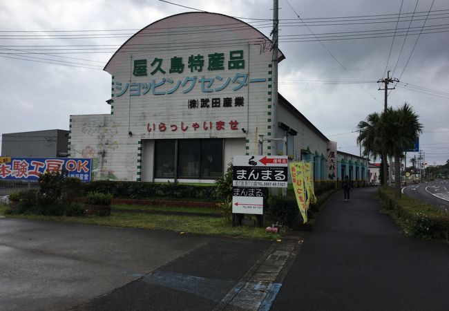 大きなショッピングセンター武田の先のレストランで飛魚のフライを食べた