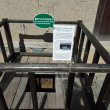 囲いの無い佐々木家の便所