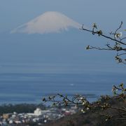 相模湾越しに望む富士の絶景ポイントはここ！