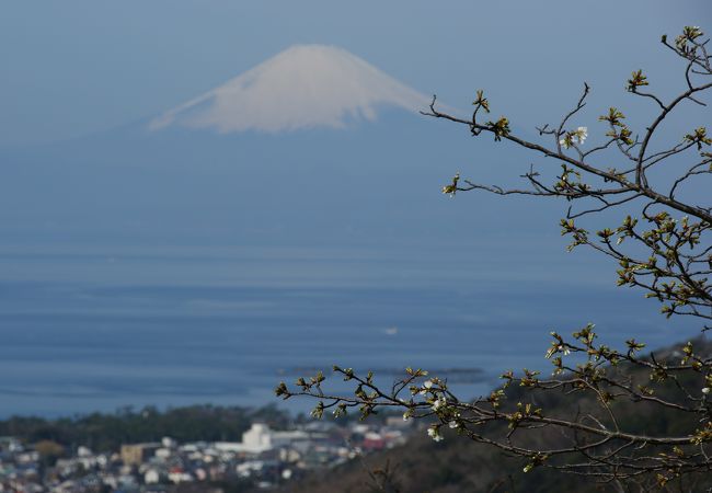 相模湾越しに望む富士の絶景ポイントはここ！