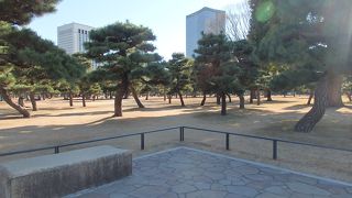 皇居・江戸城散策で皇居外苑に寄りました