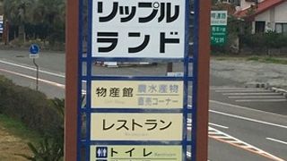 昭和感は残るが、タコ天丼は美味しかった！