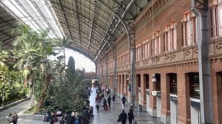 植物園のような駅構内