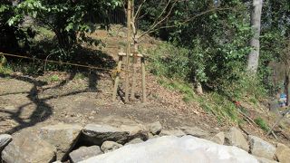 3月下旬まで工事中です