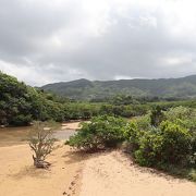 大通りの橋の上から一望できる