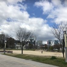 大きい公園 By Vivi 扇町公園のクチコミ フォートラベル