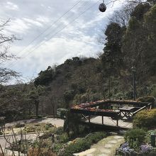 斜面に工夫を凝らした展示