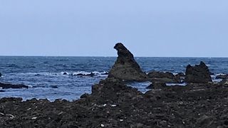 びっくりするくらい小さかったです。