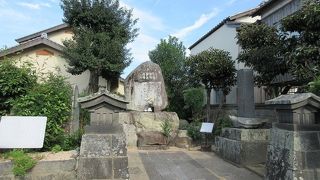 櫓を模したような門柱までありました。