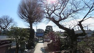 南北朝期からの古刹