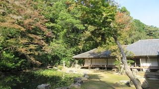 木々は色づいておらず、さほどインパクトは感じられませんでした。