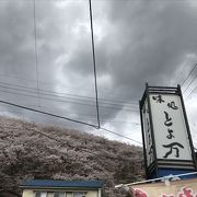 桜で有名の弘法山の近くにあり、穴場のレストランでした。
