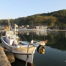 河口付近の風景。