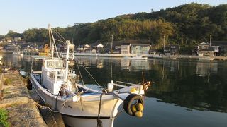 河口付近を午前中に散策することをお勧めします。