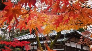 秋の紅葉時期素敵