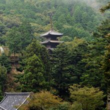 木々の中に三重塔
