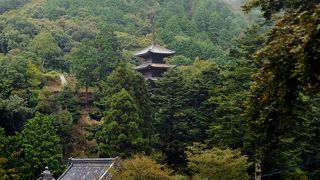 自然の中に三重塔