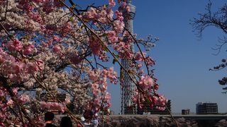 絶景ですなぁ…