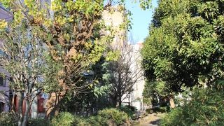 浜町川跡の遊歩道