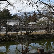 雪が少ない今年