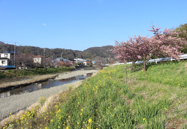 保田川頼朝桜の里 竹灯篭まつり