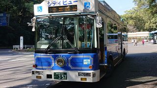 特徴ある見た目のバス