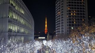 白色の煌めきと東京タワー