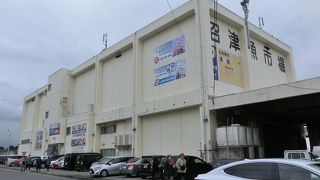 魚市場観光のはしり