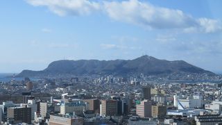 遠景でもしっかりと存在感