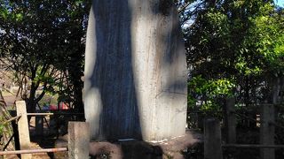 勝海舟が盟友西郷隆盛の三回忌に建てた留魂碑