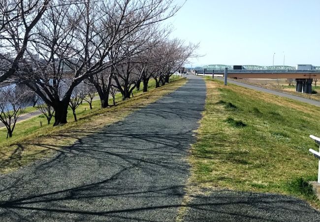 荒川赤羽桜堤緑地 クチコミ アクセス 営業時間 赤羽 フォートラベル 荒川赤羽桜堤緑地 クチコミ アクセス 営業時間 赤羽 フォートラベル