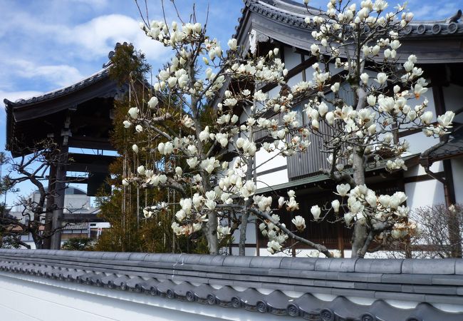 偉人たちの碑が多い由緒ある寺