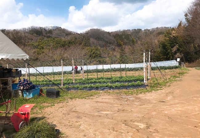 農業公園信貴山のどか村 クチコミ アクセス 営業時間 信貴山 フォートラベル 農業公園信貴山のどか村 クチコミ アクセス 営業時間 信貴山 フォートラベル