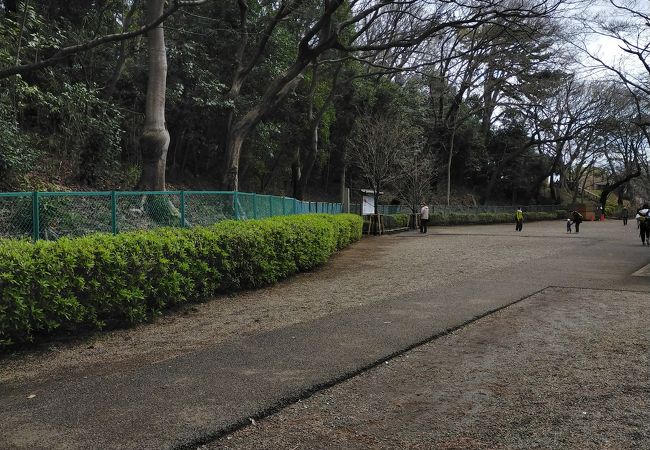 亀甲山古墳 クチコミ アクセス 営業時間 田園調布 フォートラベル 亀甲山古墳 クチコミ アクセス 営業時間 田園調布 フォートラベル