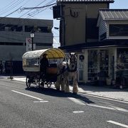 ベルギーのお馬さん