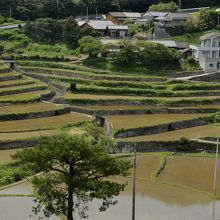 歴史が刻みこまれている