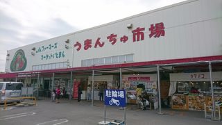 島らっきょにゴーヤ、お土産にも最適
