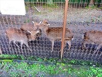 大石ダム湖畔県民休養地