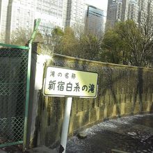 子供もたくさん By 緑のポスト 新宿中央公園のクチコミ フォートラベル