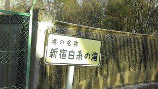 子供もたくさん