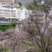 フラワーパークから国民宿舎を見る